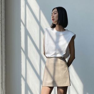 COPY - ARITZIA mini skirt